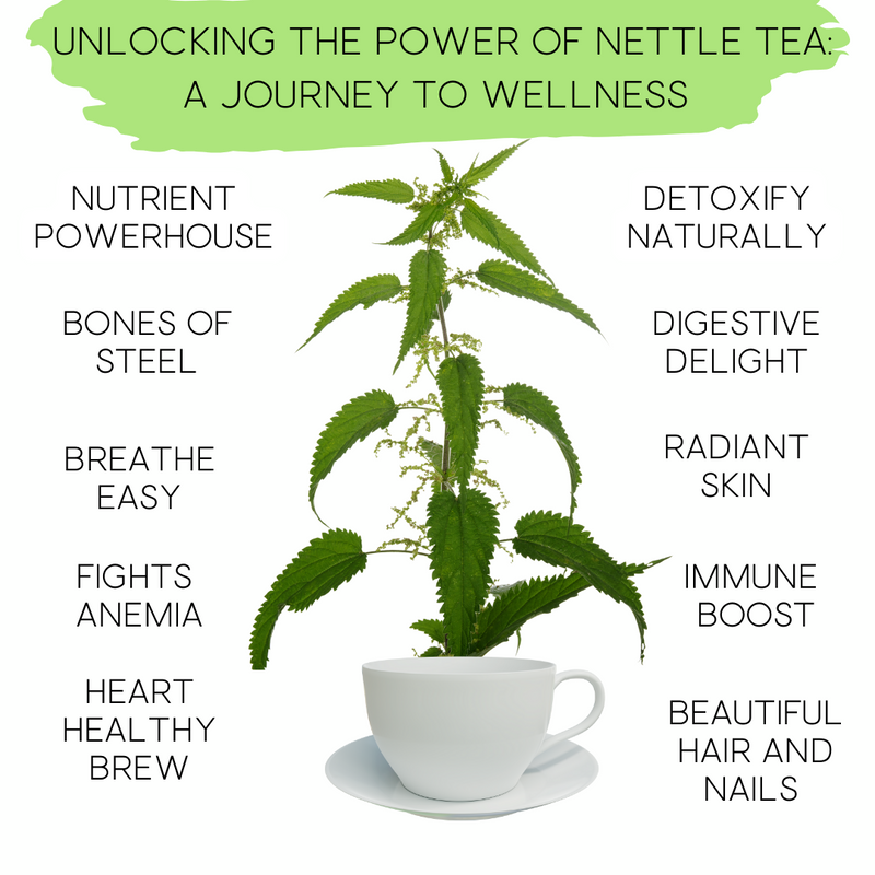 Unlocking the power of Nettle Tea: A Journey to Wellness!