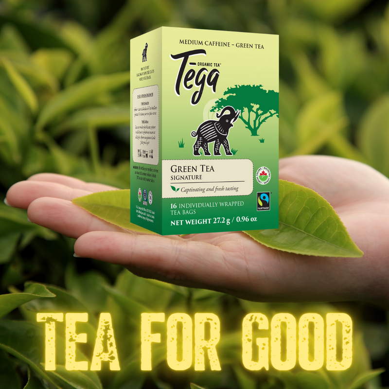 Top 6 Benefits of Green Tea