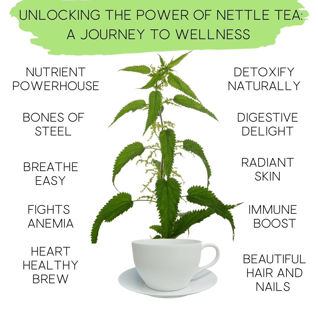 Unlocking the power of Nettle Tea: A Journey to Wellness!  TegaOrganicTea
