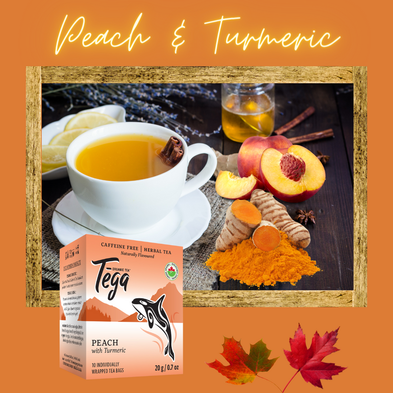 Turmeric, Ginger, and Peach Goodness: Uncovering Tega’s Herbal Tea Magic