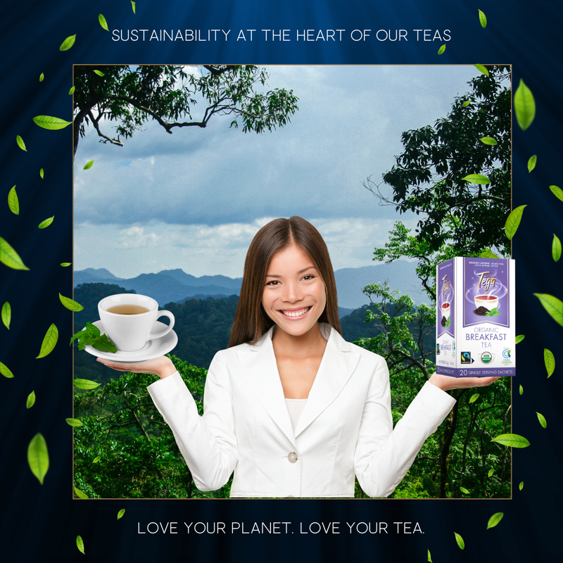 Sustainability at the Heart of Our Teas