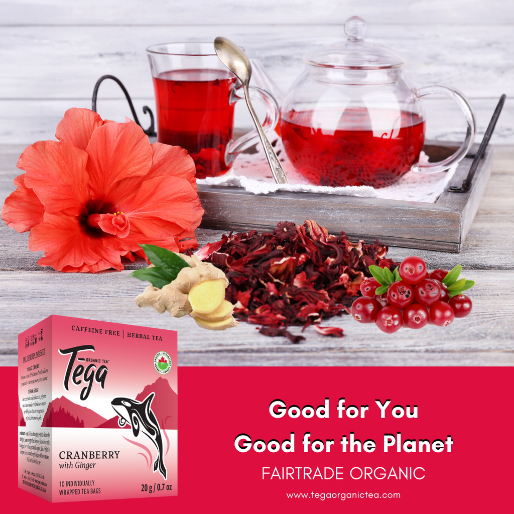 Cranberry Ginger Organic Herbal Tea