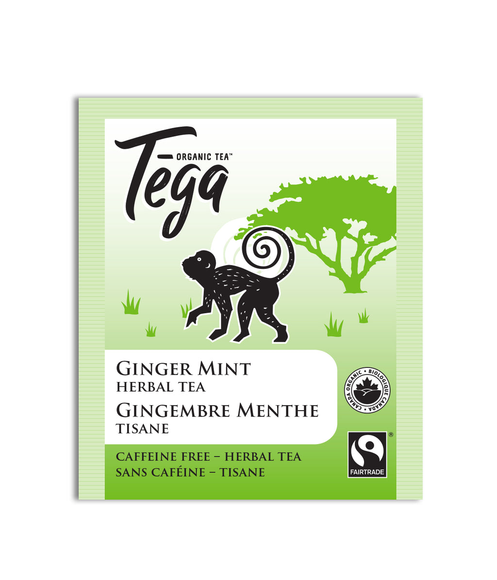 Tega Organic Tea Sampler – 50 Tea Bags