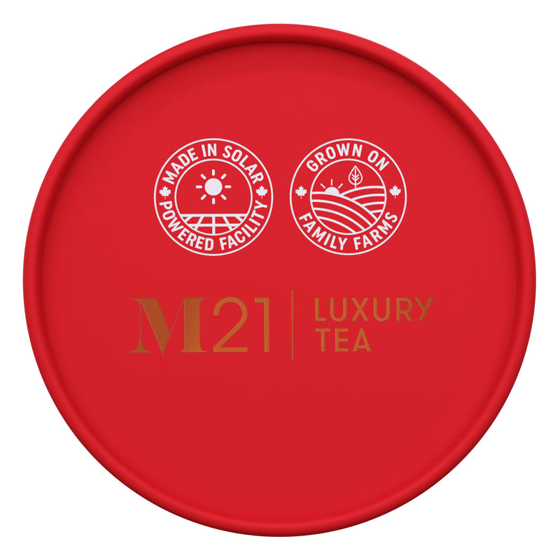 Holiday Winter Spice Luxury Tea - 24ct