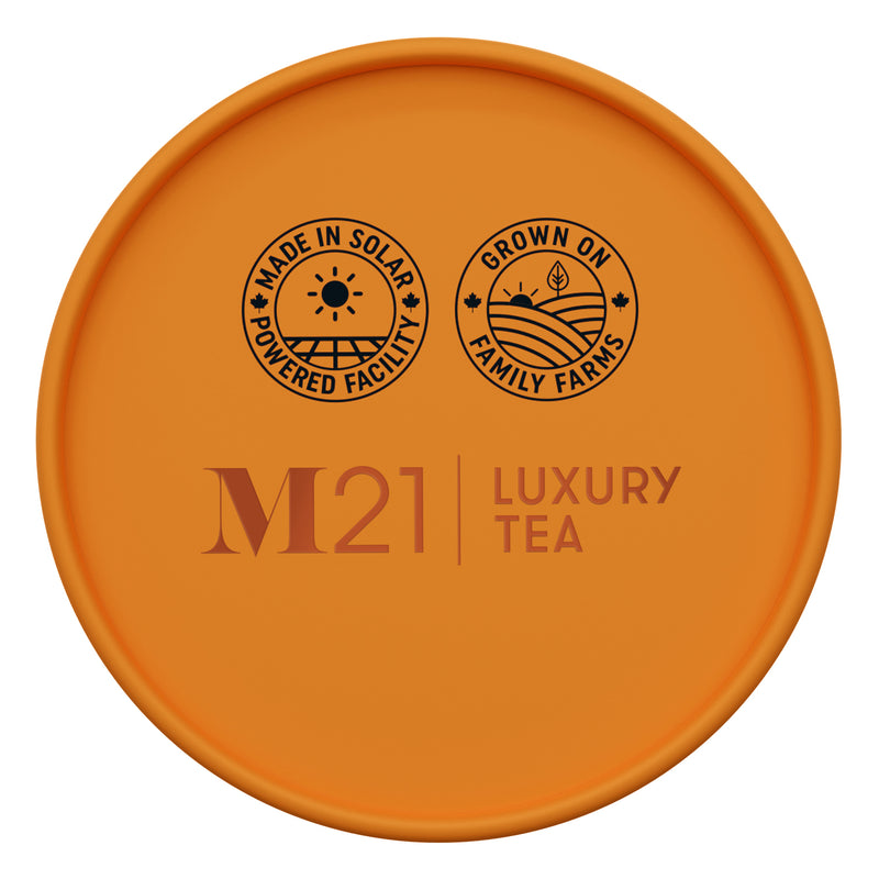 Maple Butter Tart Luxury Tea - 24ct