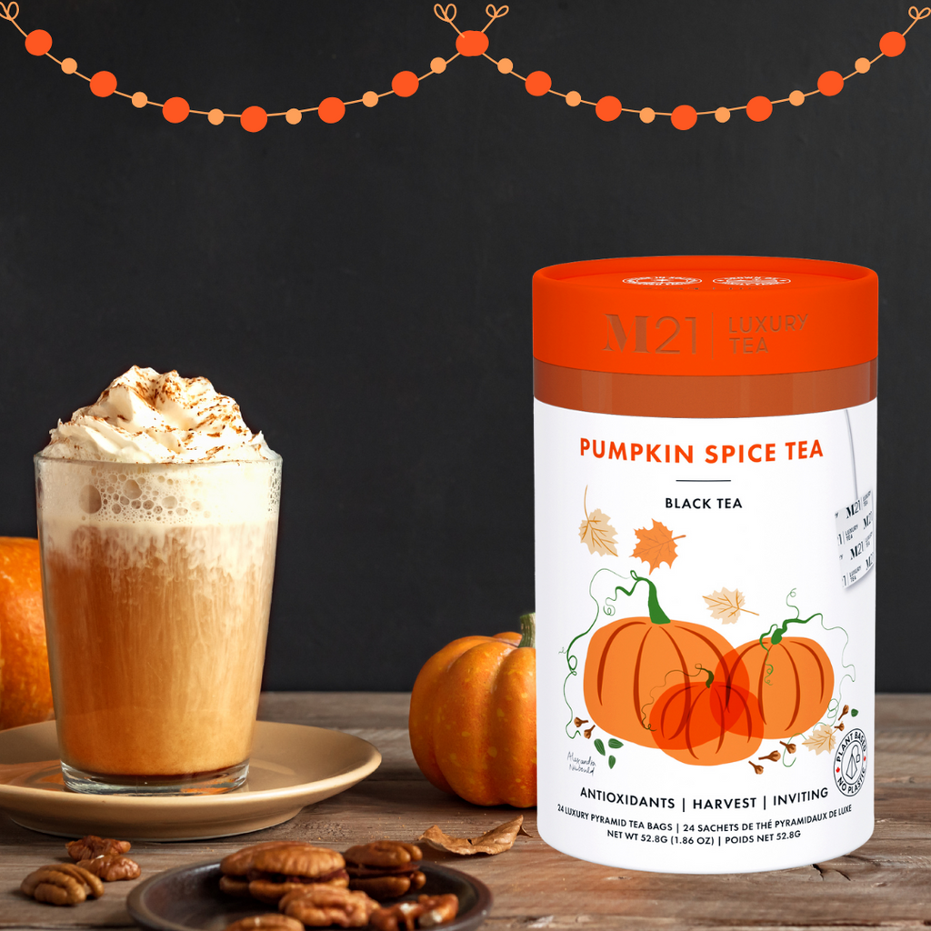 Luxury Pumpkin Spice Tea – 24ct