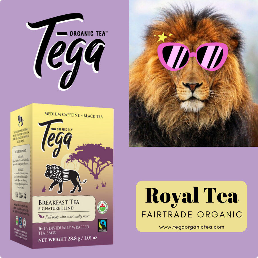 Organic English Breakfast tea – TegaOrganicTea